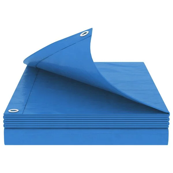 vidaXL Bâche avec œillets Bleu 3 x 5 m 90 gsm PE