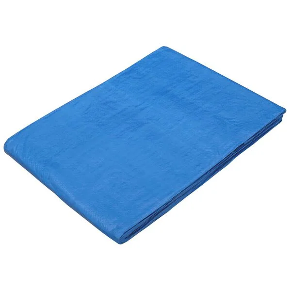 vidaXL Bâche avec œillets Bleu 3 x 5 m 90 gsm PE